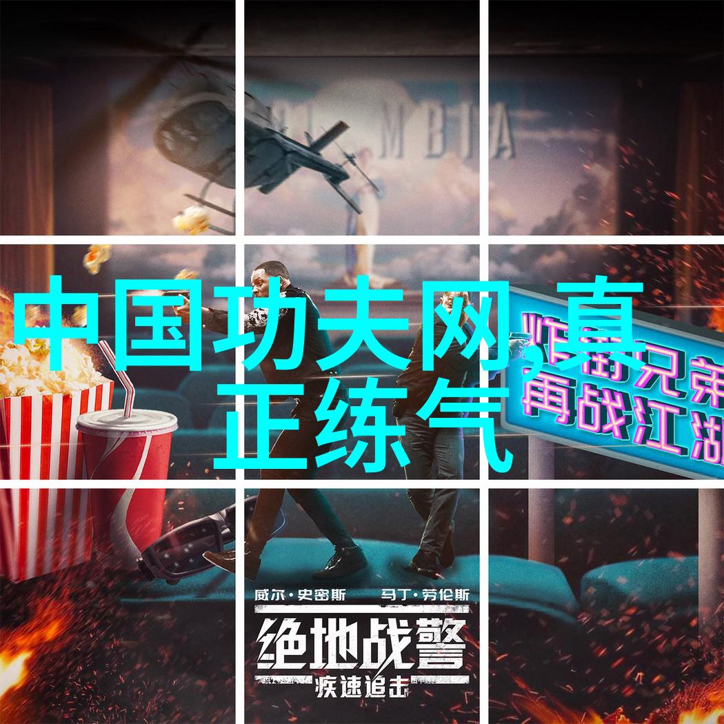 武林秘籍揭秘少林古典拳法
