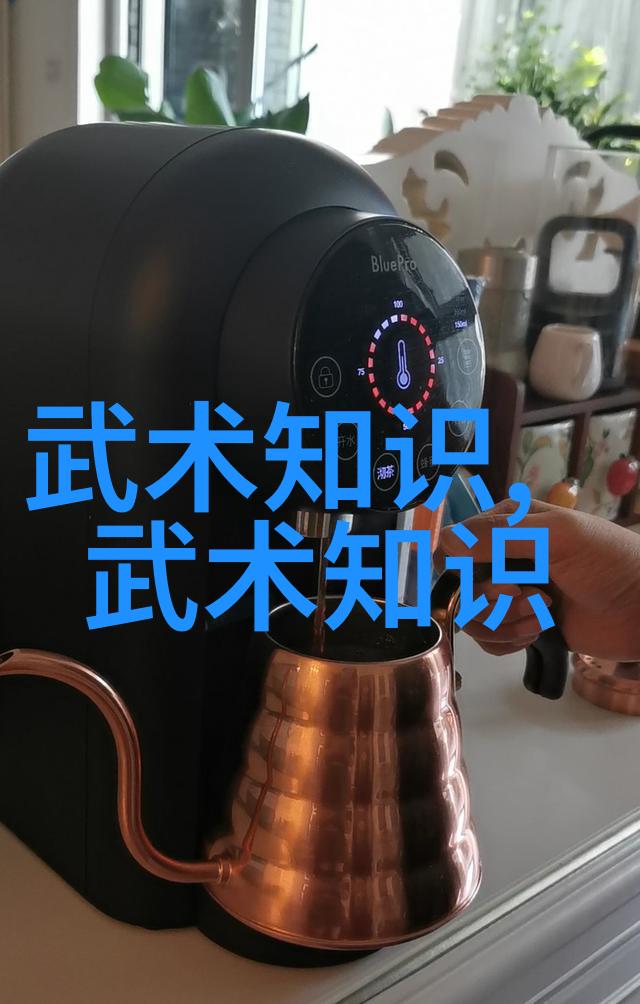 嵩山少林寺武林八大派中的拳种之冠