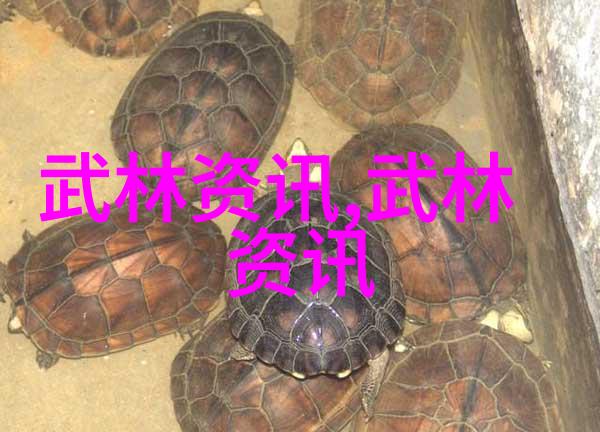 外国来沪访问团体参观中国武术博物馆