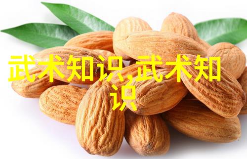 家中武功秘籍静心悟道身形自在