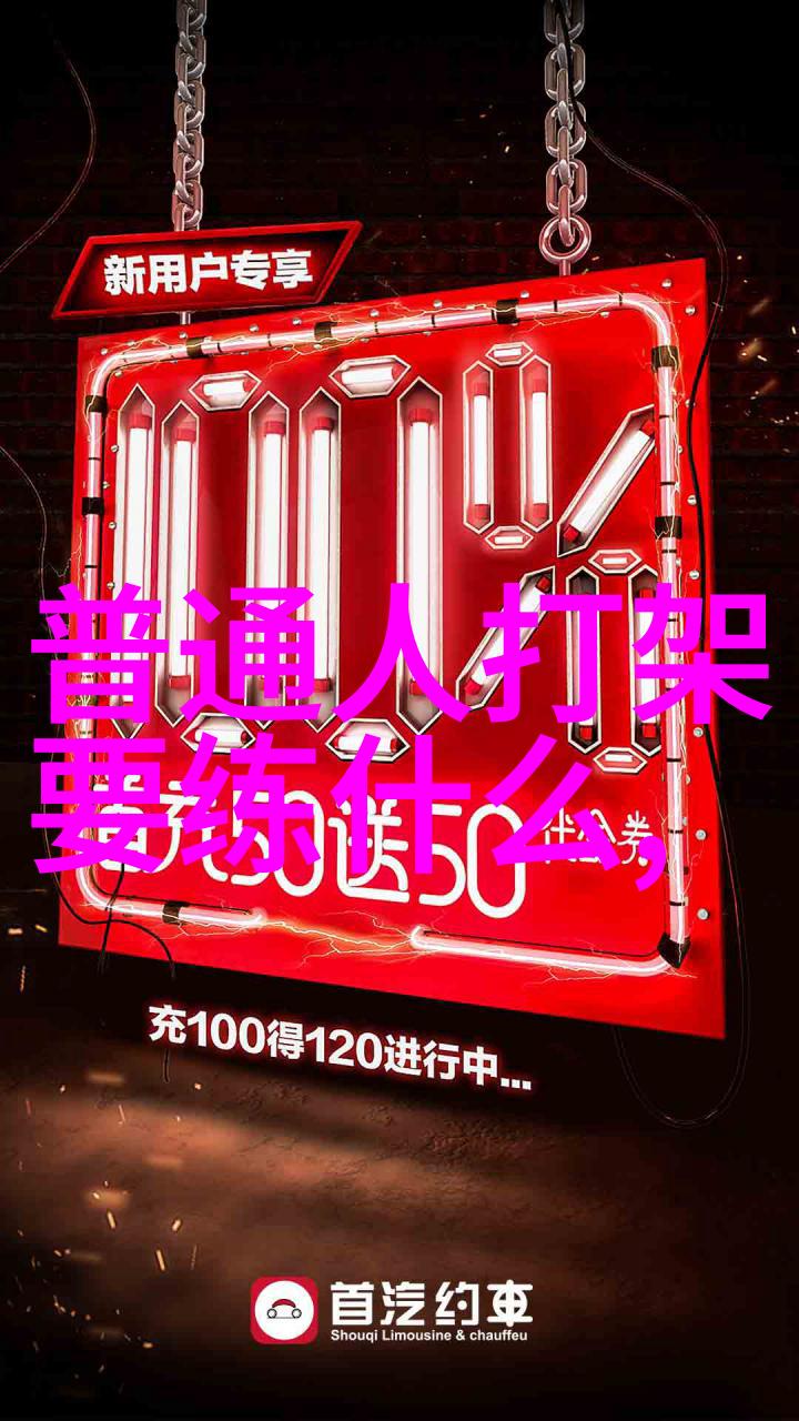 武林绝学功夫大全招式拳法内含各种精湛的徒手战斗技巧和秘籍