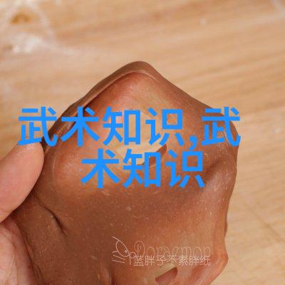 江湖风云录八大门派之争