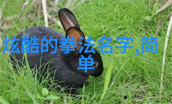 古风家族谱-绘声绘影探寻好听的家族名字古风