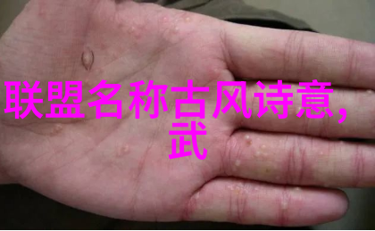 武林秘籍全集探索少林寺的武学宝藏