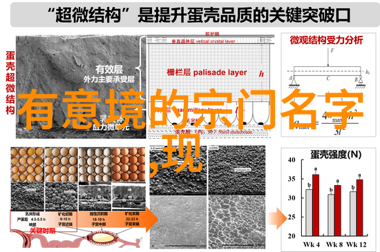 武式固安太极拳意境古朴高雅的店名人物沉浸于练习中