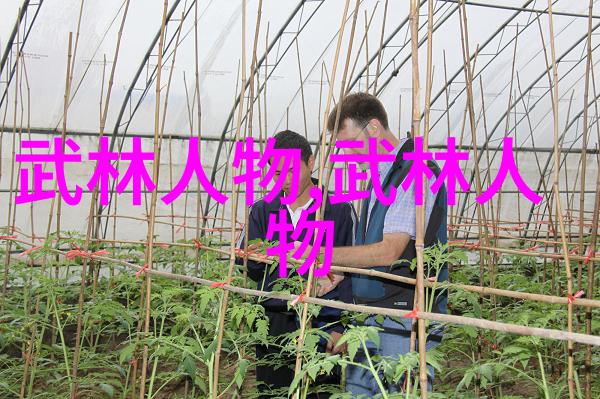 探索太极文化24式图解视频讲解