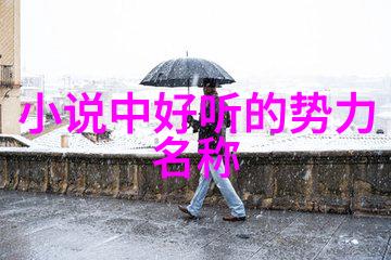 少林武功秘籍大全中的太极拳桩法叶式史的反复探究