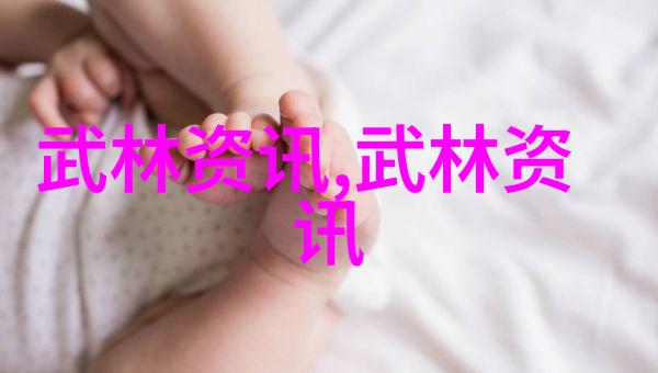 武林秘籍十六大门派的卓越使者