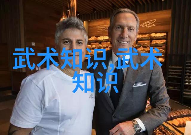 禁用武术的网站-击打界限揭秘那些禁止武术交流的奇特网络空间