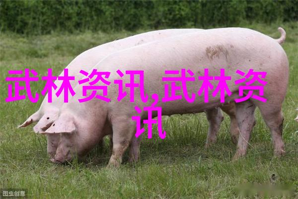 上海斌惠文化传播太极拳馆给你健康给你快乐