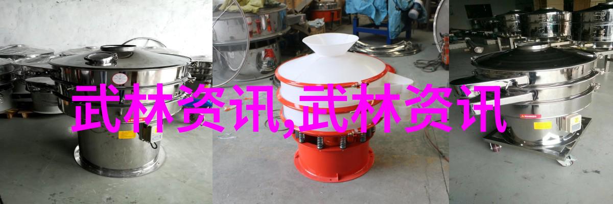 武林秘籍揭秘中国武术十大门派的奥义