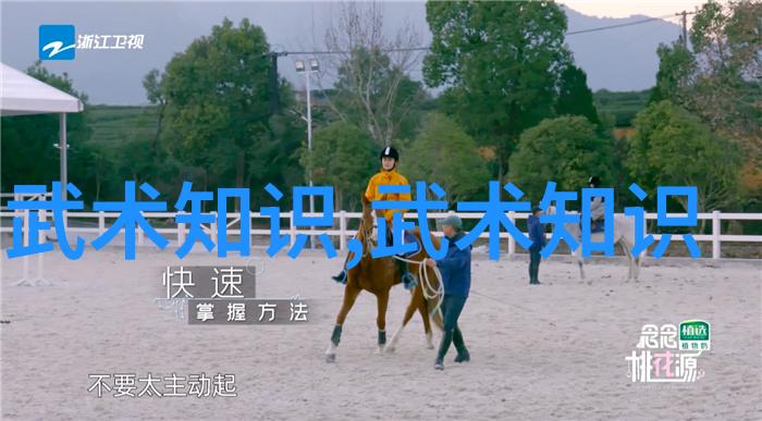 武林帮派名字大全霸气江湖枭雄的辉煌篇章