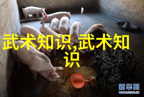武当全真龙门派传人是谁-追寻古今武当全真龙门派的传承者们