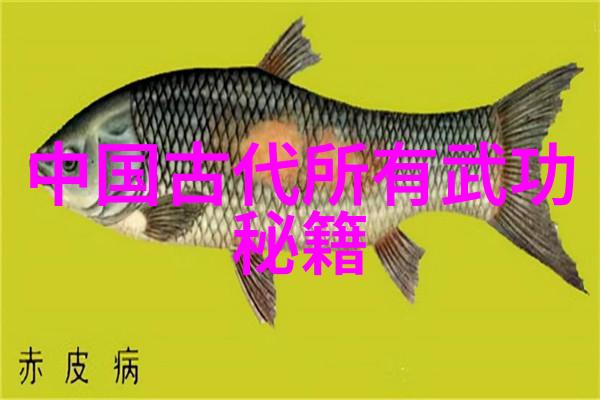 五彩纷飞帮派志士