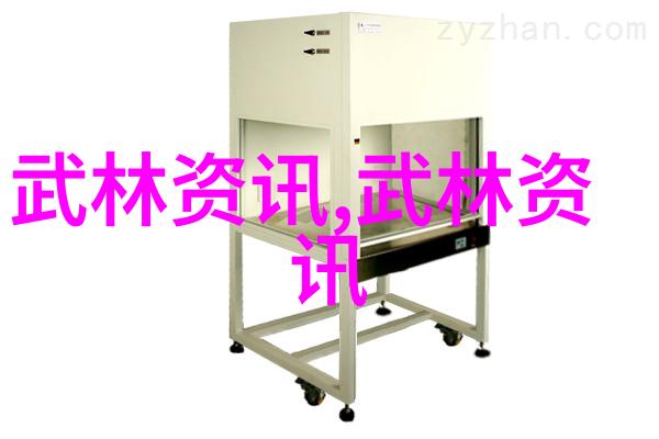 中国武术的拳法之美揭秘内家外家的技巧与艺术