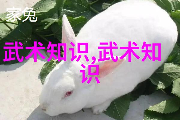 倚天屠龙记继承者之路