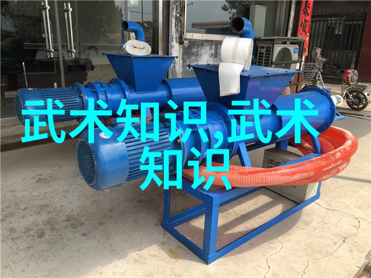 武林百家争先中国武术十大门派哪个最强
