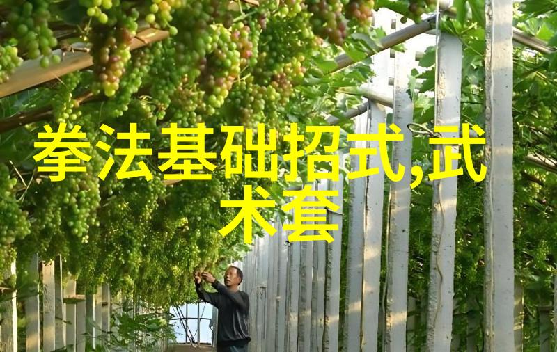 武林秘籍绝学功夫大全招式拳法内含独门秘术与精华拳法