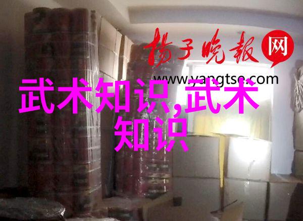 中国武学宝典揭秘内家秘籍之谜