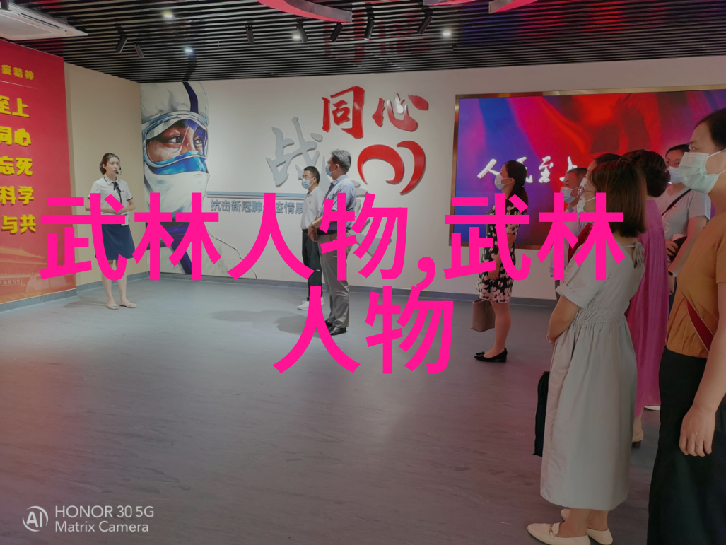 传承与创新中国武术十大门派在发展过程中遇到了哪些挑战