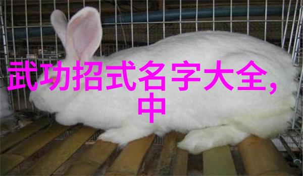 武林秘籍-揭秘十大最强武功秘籍征服天下之路