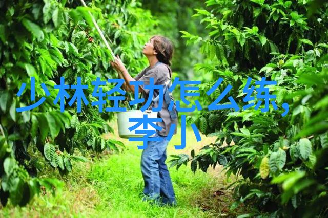 未来图景大学生个人规划的蓝图