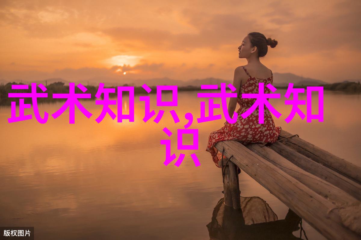 中国武术多样拳法中国传统武术中的各种独特拳法