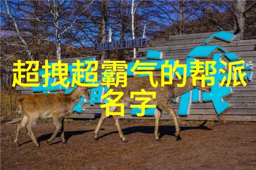 武林秘籍神功秘录全集