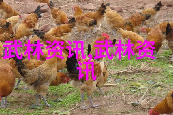 梦想之冠诗韵公会的诞生