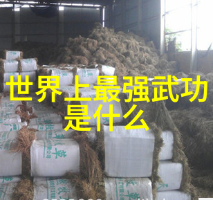 武林高手的心得分享如何通过阅读大全书提升实战能力
