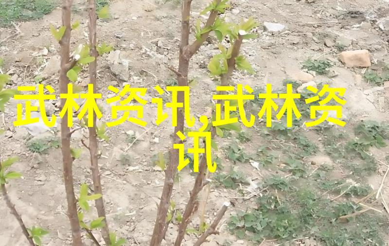 武林有门派任意浑圆太极拳