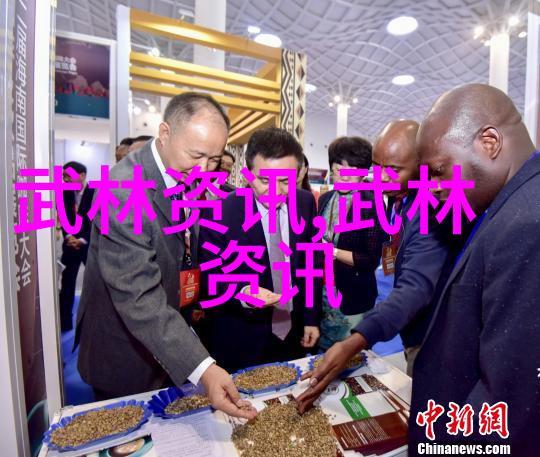 中国拳法有几种探索养生之道顺便说说太极拳的奥秘