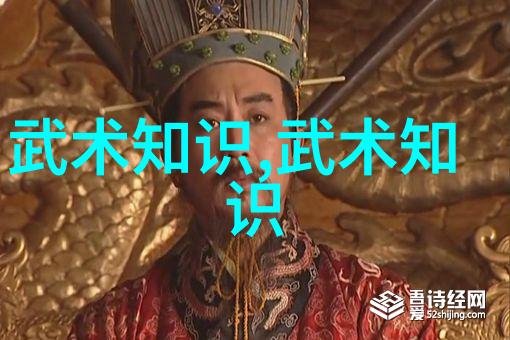 太极拳与气功揭秘武林各种武功秘籍图片