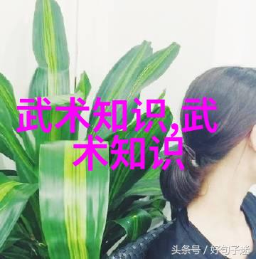 中国十大剑法之争霸江湖路程