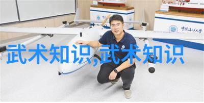 现代社会中学徒制在传统武艺中的作用是什么