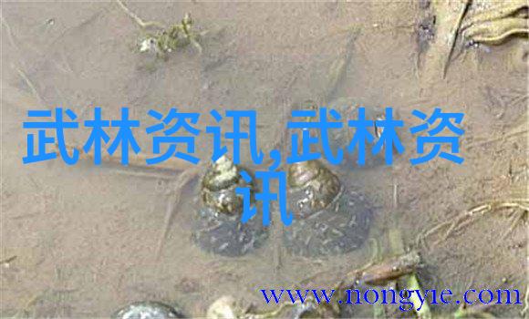 街头巷尾的幽灵团伙探索最有影响力的霸气帮派名号