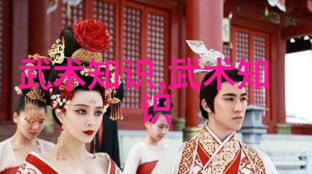 碾脚之术如同剔除心中的雾霭在太极拳中挥洒自如强洪与福志的武学探究如同翻阅各种武功秘籍图片寻觅内在真谛