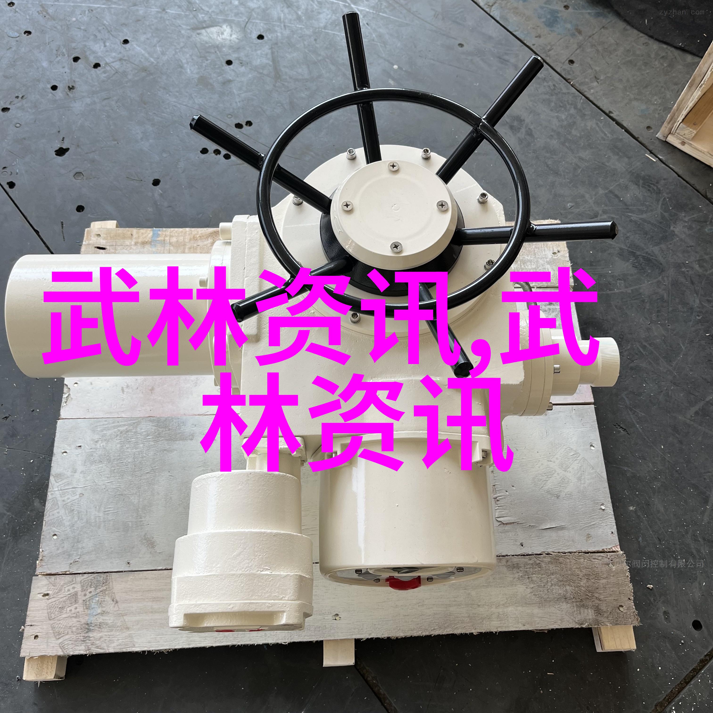 古韵现代揭秘中国武术的千手千拳