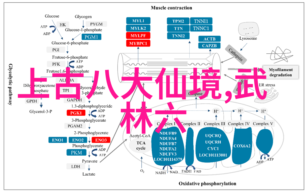 青春与梦想-女生的帮派名字叫什么好编织传奇的文字密码