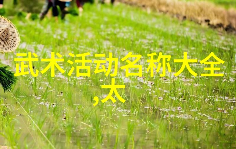 阿拉善8人大战我亲眼见证的那场荒漠中的八对拳手