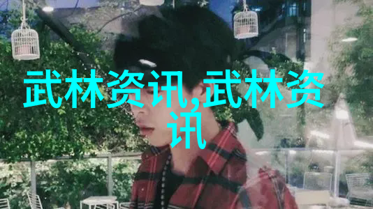 湖南武术门派传承新疆72式迷踪艺中的秘密武器