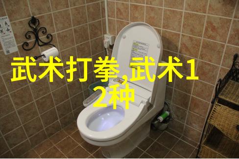 揭秘功夫大全招式拳法掌握武林绝技的艺术与实战