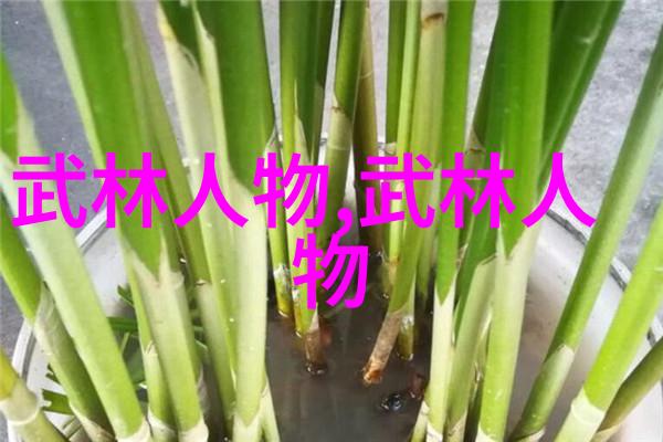 传统武术的精髓深入浅出的拳法十六招式图解分析