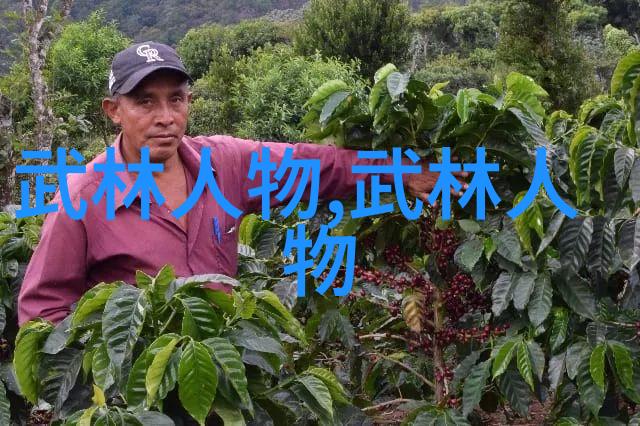 武林绝学揭秘十大真实武功秘籍打造你成为江湖笑中英雄