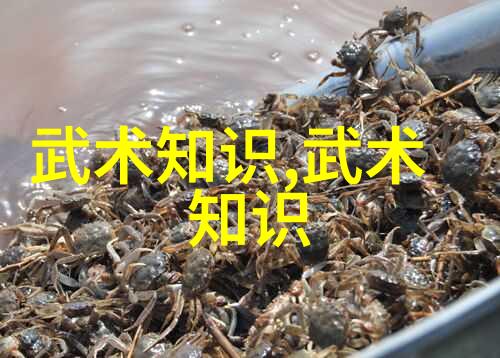 武林秘籍揭秘各大门派的传统与风范