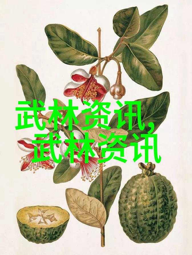 古代武功秘籍评析与排名探索内丹气功与剑法之道