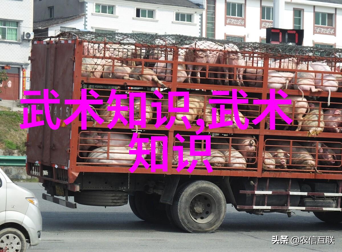 武林秘籍解密揭秘基础武功的奥义与实践
