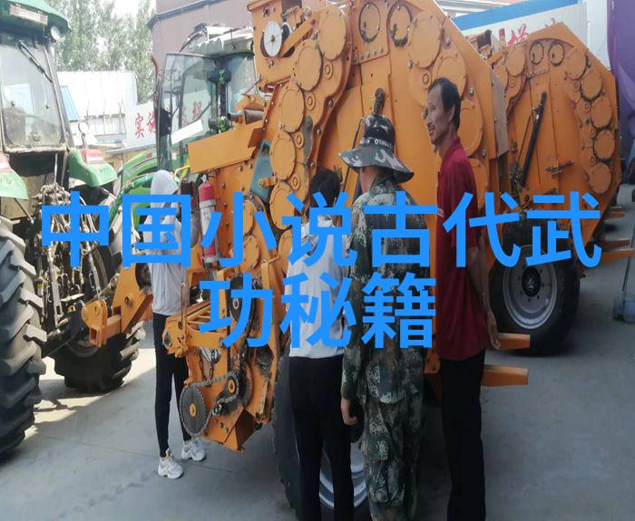 中国武术宝库探秘三十门派的精髓与魅力