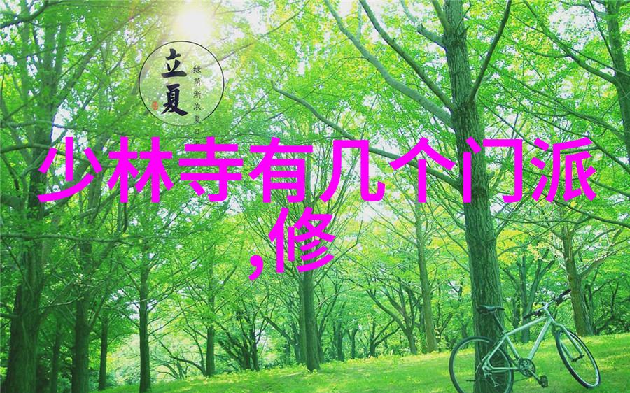 南非在2017年惠灵顿七人制橄榄球赛上再次夺冠实现了辉煌的赛季之巅
