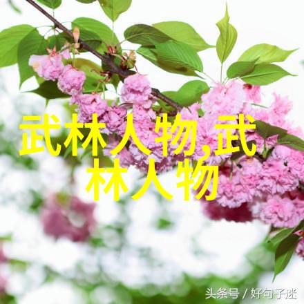 数据驱动四川石棉洪门仙门门派名字大全